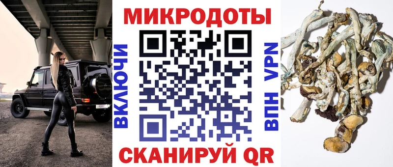 сколько стоит  Слободской  darknet телеграм  Галлюциногенные грибы Cubensis 