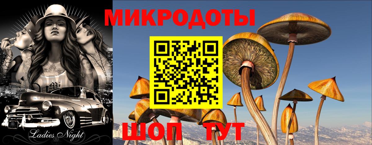 Псилоцибиновые грибы MAGIC MUSHROOMS  Вход с VPN  Слободской 