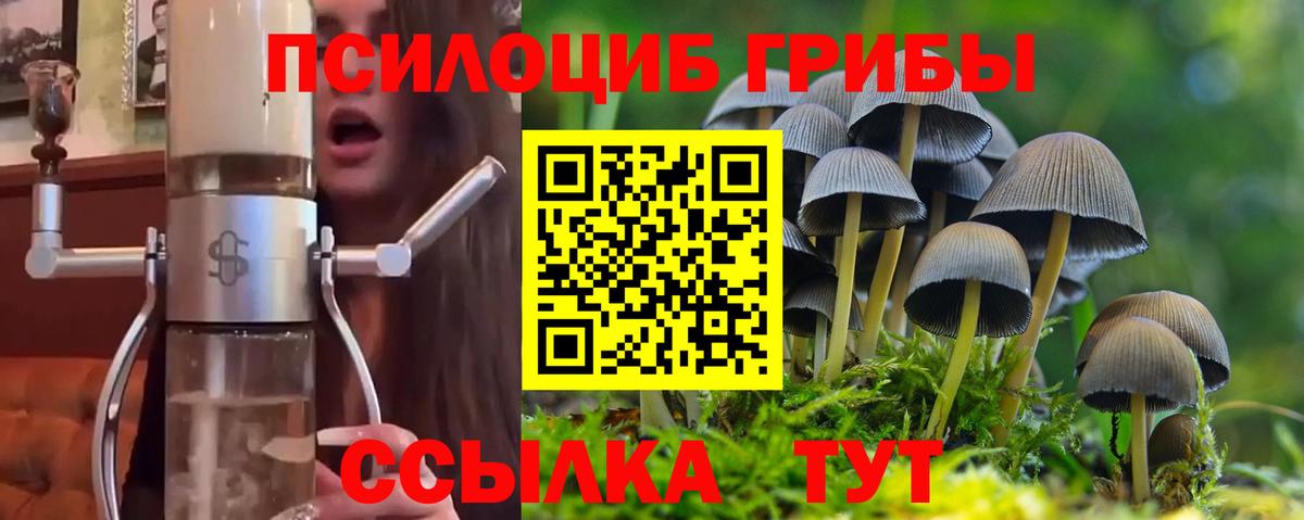 Галлюциногенные грибы Psilocybine cubensis Слободской
